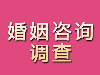 文安婚姻咨询调查